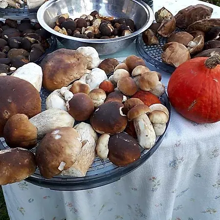 Garsoniera Sowa * Polanica-Zdrój
