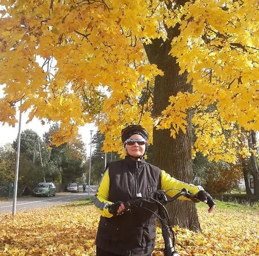 Garsoniera Sowa * Polanica-Zdrój