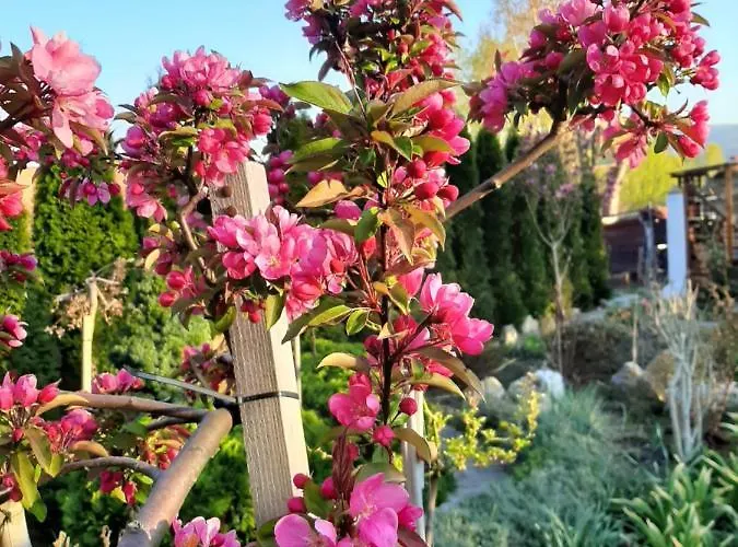Parco vacanze Garsoniera Sowa Polanica-Zdrój